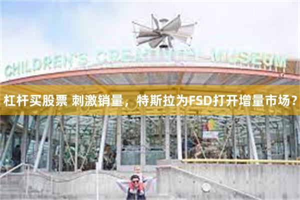 杠杆买股票 刺激销量，特斯拉为FSD打开增量市场？