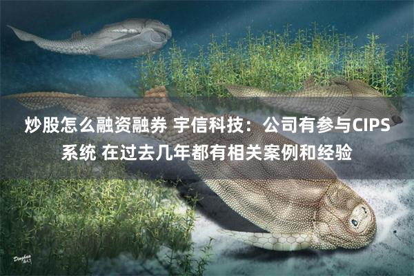 炒股怎么融资融券 宇信科技：公司有参与CIPS系统 在过去几年都有相关案例和经验