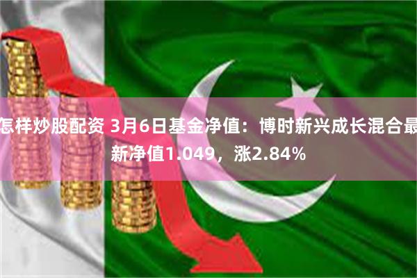 怎样炒股配资 3月6日基金净值：博时新兴成长混合最新净值1.049，涨2.84%