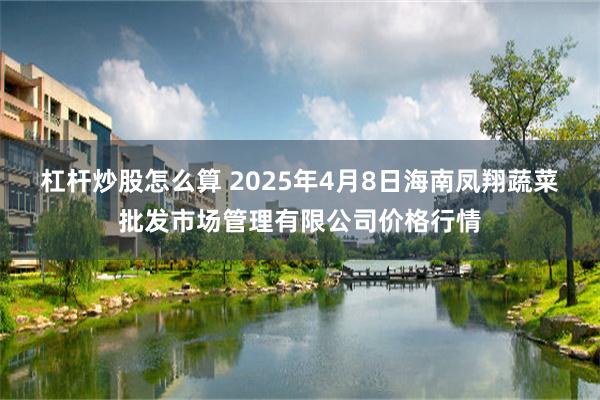 杠杆炒股怎么算 2025年4月8日海南凤翔蔬菜批发市场管理有限公司价格行情