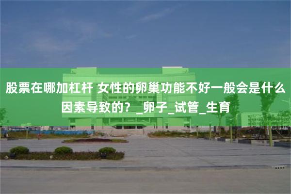 股票在哪加杠杆 女性的卵巢功能不好一般会是什么因素导致的？_卵子_试管_生育