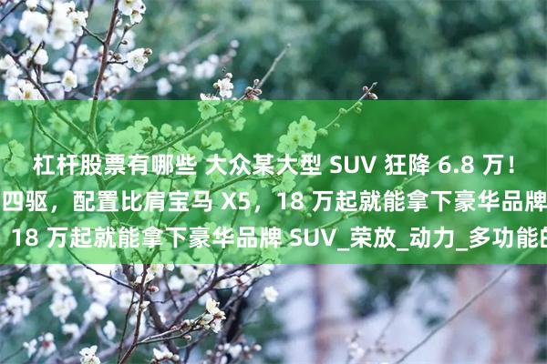 杠杆股票有哪些 大众某大型 SUV 狂降 6.8 万！2.0T 爆发 186 匹还带四驱，配置比肩宝马 X5，18 万起就能拿下豪华品牌 SUV_荣放_动力_多功能的