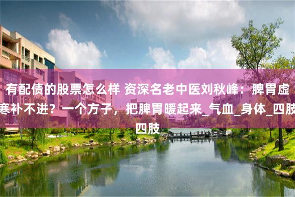 有配债的股票怎么样 资深名老中医刘秋峰：脾胃虚寒补不进？一个方子，把脾胃暖起来_气血_身体_四肢