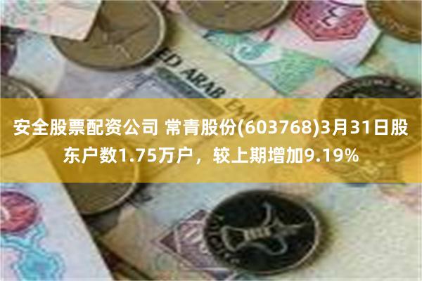 安全股票配资公司 常青股份(603768)3月31日股东户数1.75万户，较上期增加9.19%