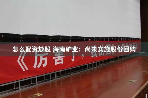 怎么配资炒股 海南矿业：尚未实施股份回购