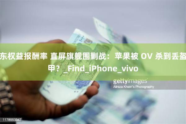 股东权益报酬率 直屏旗舰围剿战：苹果被 OV 杀到丢盔弃甲？_Find_iPhone_vivo