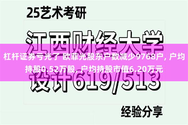 杠杆证券亏光了 欧菲光股东户数减少9768户, 户均持股0.52万股, 户均持股市值6.20万元