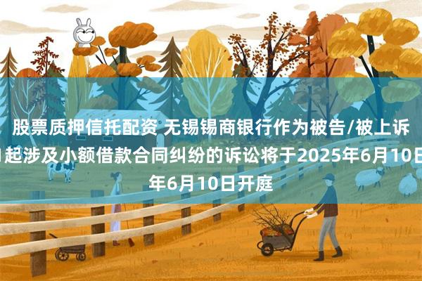 股票质押信托配资 无锡锡商银行作为被告/被上诉人的1起涉及小额借款合同纠纷的诉讼将于2025年6月10日开庭