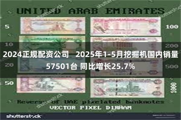 2024正规配资公司   2025年1-5月挖掘机国内销量57501台 同比增长25.7%