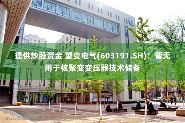 提供炒股资金 望变电气(603191.SH)：暂无用于核聚变变压器技术储备