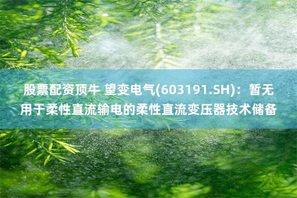 股票配资顶牛 望变电气(603191.SH)：暂无用于柔性直流输电的柔性直流变压器技术储备