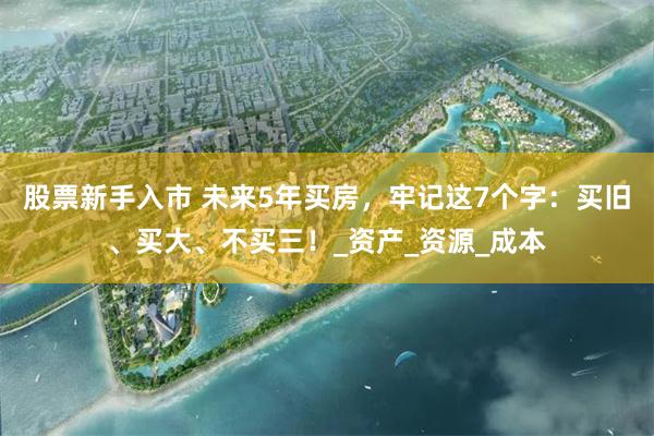 股票新手入市 未来5年买房，牢记这7个字：买旧、买大、不买三！_资产_资源_成本