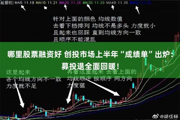 哪里股票融资好 创投市场上半年“成绩单”出炉：募投退全面回暖！