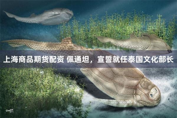 上海商品期货配资 佩通坦，宣誓就任泰国文化部长